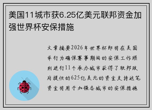 美国11城市获6.25亿美元联邦资金加强世界杯安保措施